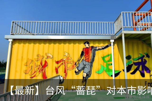 【最新】台风“蔷琵”对本市影响延长！今晚进入风雨最强时段→