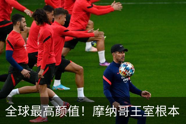 全球最高颜值！摩纳哥王室根本“脸蛋奇迹家族”！