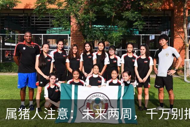属猪人注意：未来两周，千万别把送上门的好事推走