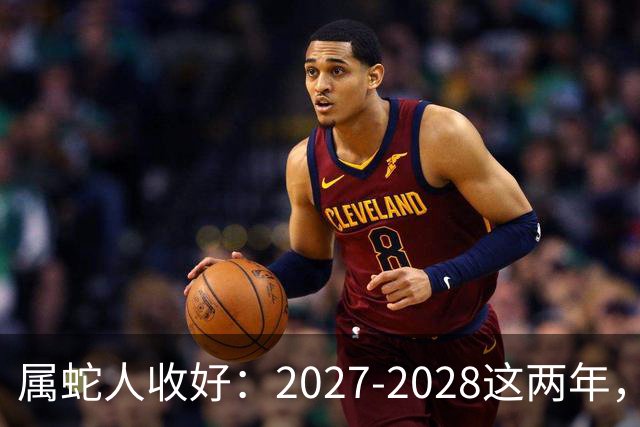 属蛇人收好：2027-2028这两年，日子要换写法了