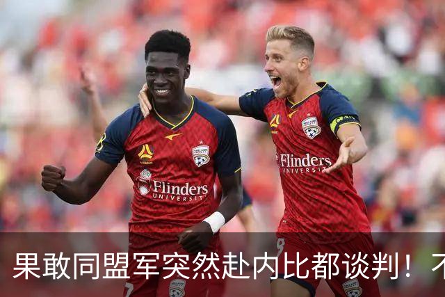 果敢同盟军突然赴内比都谈判！不是认输，中国要的结果开始出现