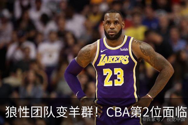 狼性团队变羊群！CBA第2位面临下课主帅曝光，发布会怒喷70%球员不在线，却说自己问心无愧！评论区一边倒