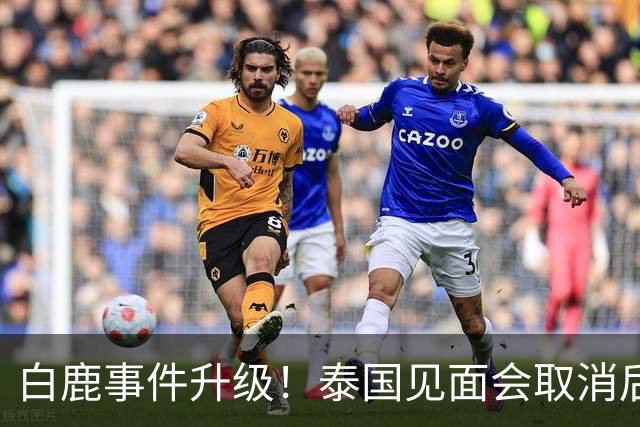 白鹿事件升级！泰国见面会取消后，缅北视频又被扒，黑历史曝光