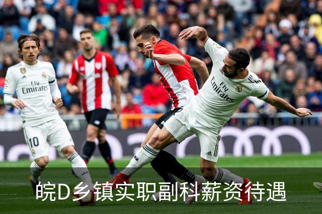 皖D乡镇实职副科薪资待遇