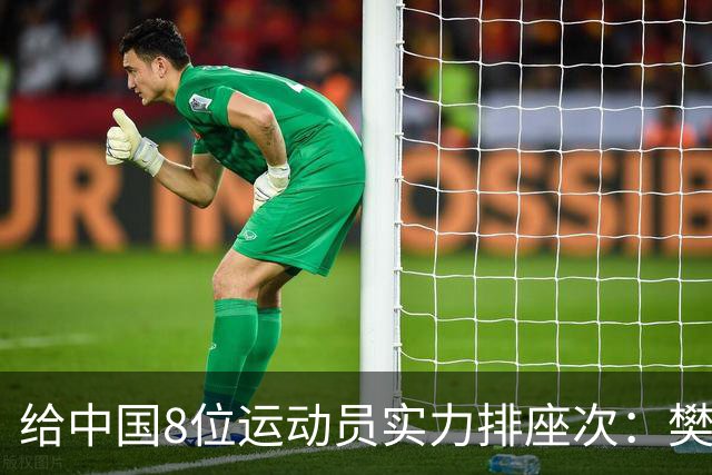 给中国8位运动员实力排座次：樊振东第八，王楠第二，第一没争议
