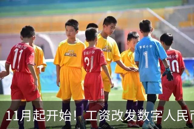 11月起开始！工资改发数字人民币，支付宝、微信支付地位动摇？